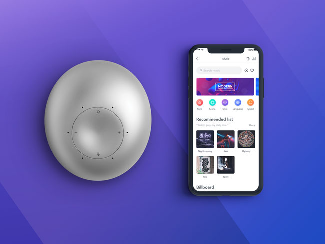 Rokid Mobile Companion App
