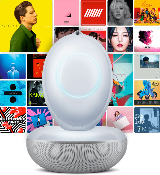 Rokid Smart Speaker VUI